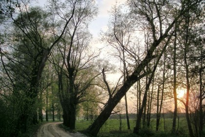 2_010_g_Zatory_droga_Kruczy Borek